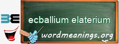 WordMeaning blackboard for ecballium elaterium